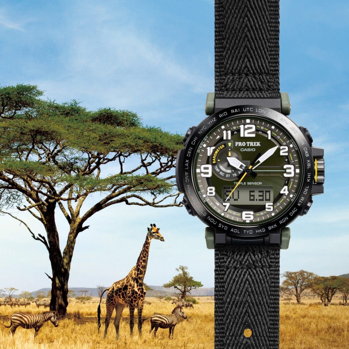 Premium Men Casio Protrek Watch For Men
