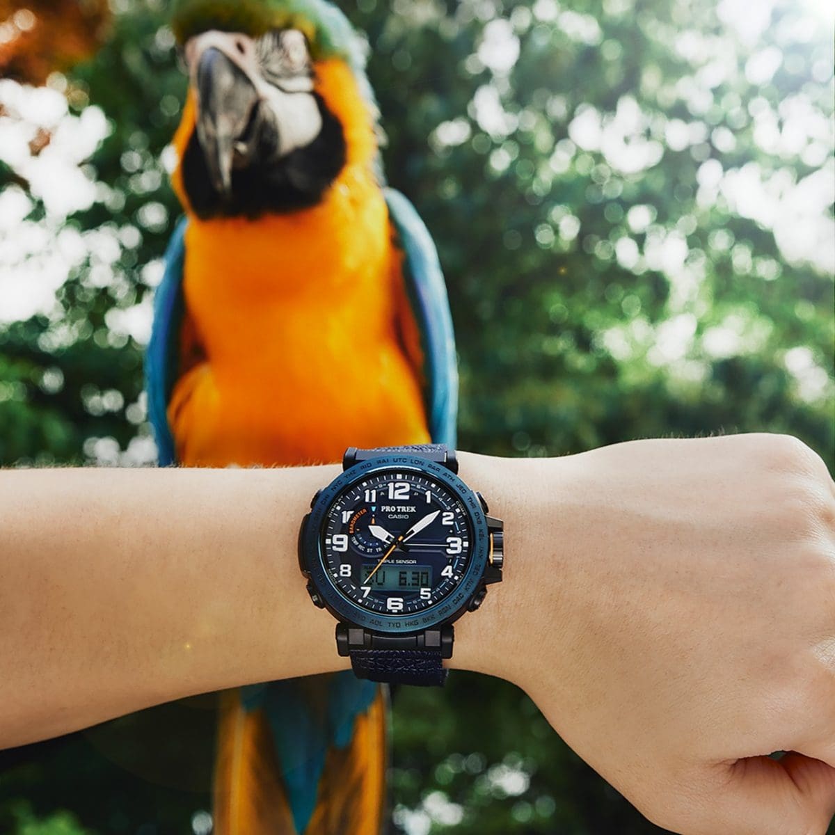 Premium Men Casio Protrek Watch For Men