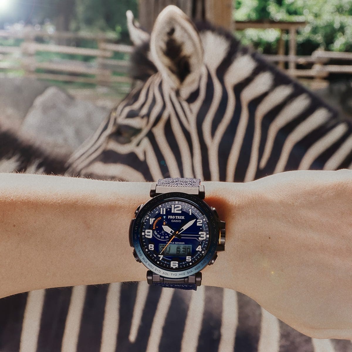 Premium Men Casio Protrek Watch For Men